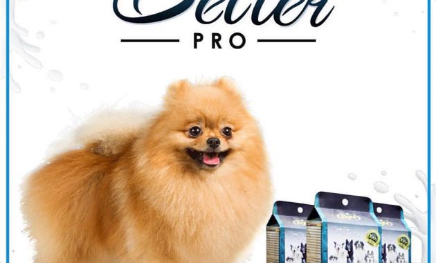 best large breed dog food reviews