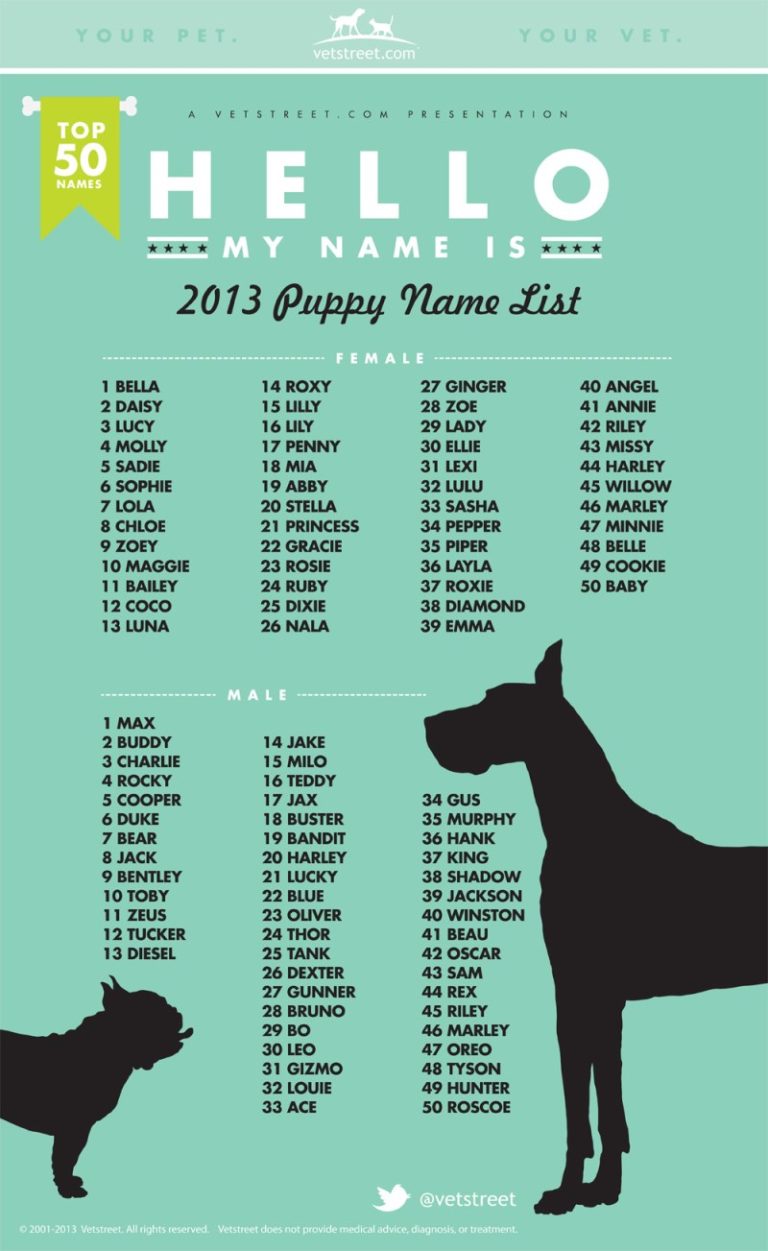 Male Dog Names That Start With L